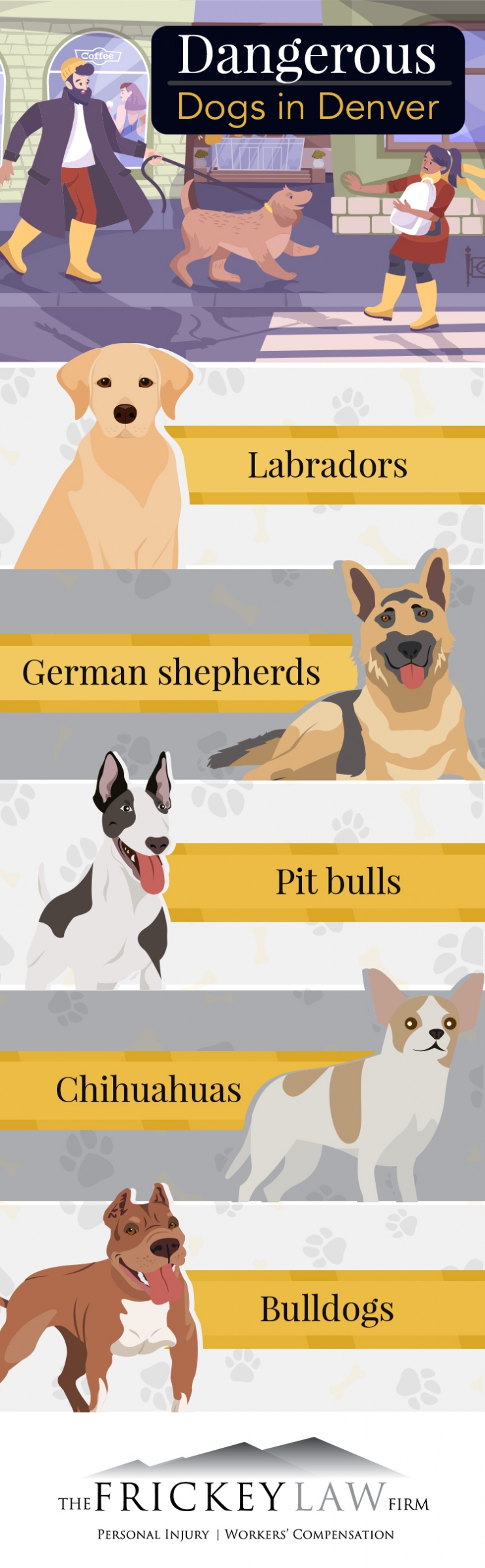 Breathtaking Denver Dog Bite Attorney Photo Art Breathtaking Denver Dog Bite Attorney Photo Art